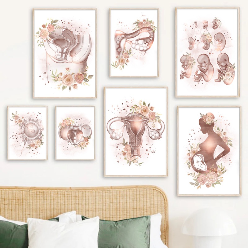 산부인과 여성 해부학 생식력 임신 포스터 프린트 다이아 - Resin Art Pregnancy 리뷰 및 가격